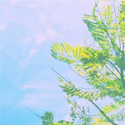 热血江山手游