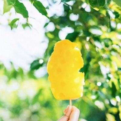 野外生存模拟中文破解版下载